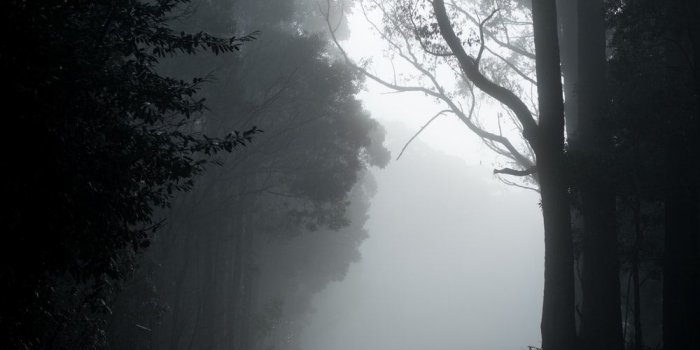 1000x1500 Dark Wallpapers: Free HD Download [500+ HQ] | Unsplash