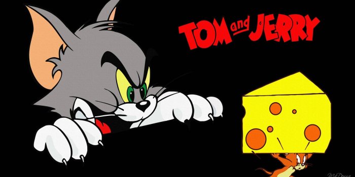 1920x1080 Puss Tom And Mouse Jerry Cartoon Hd Wallpaper For Desktop