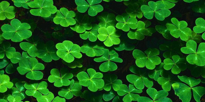 1920x1200 67+ St Patricks Wallpapers on WallpaperPlay