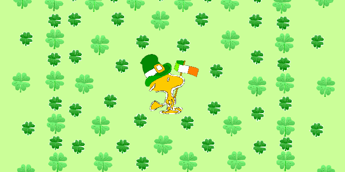 1280x800 55+ Saint Patrick's Day Cat Wallpapers - Download at