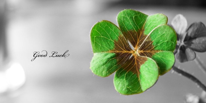 1920x1200 67+ St Patricks Wallpapers on WallpaperPlay