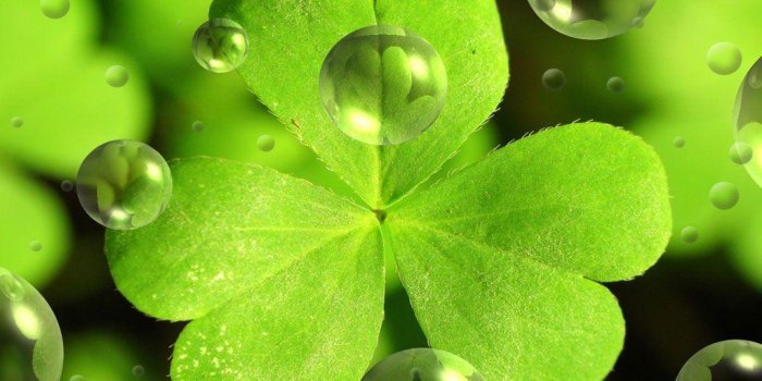 1024x768 Free St Patricks Day Desktop Wallpapers