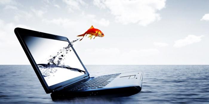 1280x800 Fish jump in computer Free PPT Backgrounds for your