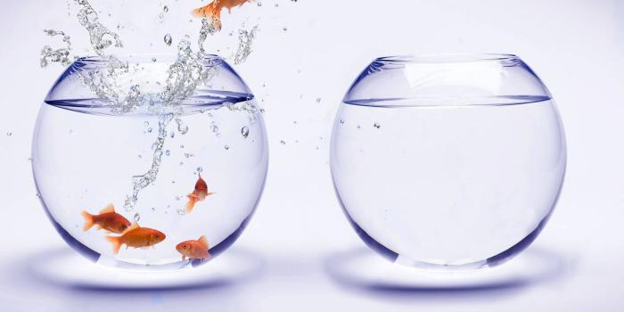 1600x1200 Fish Jumping Wallpaper by nastyuhon - db - Free on ZEDGE™