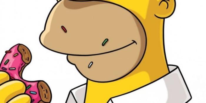 736x1308 Homer Simpson Food Wallpapers - Top Free Homer Simpson Food