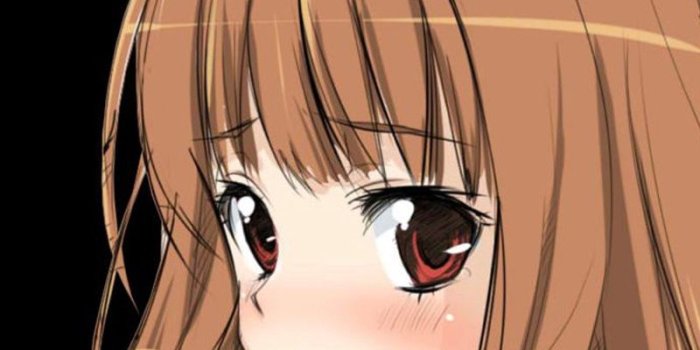 800x1200 Download wallpaper 800x1200 anime, spice wolf, girl, ears