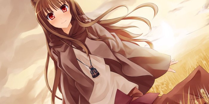 1273x900 animal ears brown hair clouds horo long hair ookami to