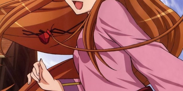 800x1280 Download wallpaper 800x1280 spice and wolf, holo, girl, fox