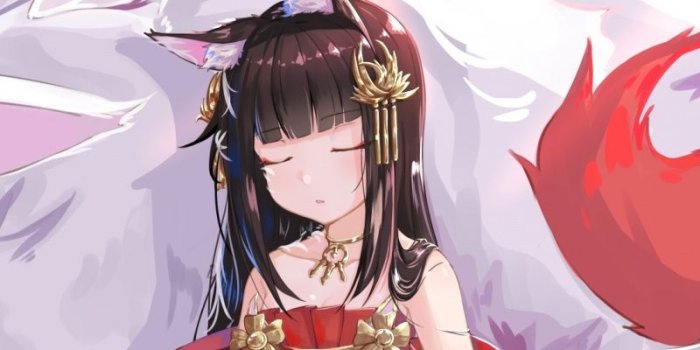 800x1280 Download 800x1280 wallpaper wolf and nagato, anime girl