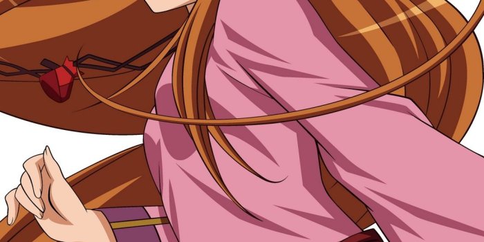 1080x1920 Download wallpaper 1080x1920 spice and wolf, horo, girl, fox