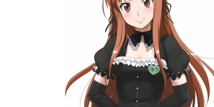 2048x2048 Wolf Girl Wallpaper (77+ images)