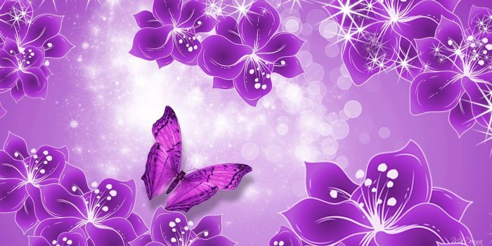 1920x1080 Pink and Purple Butterfly Wallpaper (65+ images)