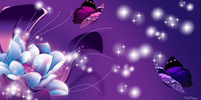1920x1080 Blue and Purple Flower and Butterflies HD Wallpaper