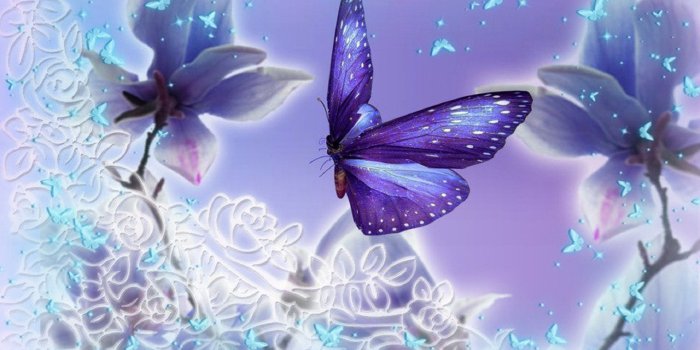 1920x1200 Blue and Purple Butterflies Wallpapers - Top Free Blue and