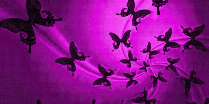 1024x768 Free download butterfly twitterbg purple butterflies