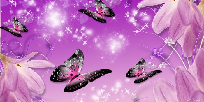 1920x1080 Purple Butterfly Wallpapers Mobile - Light Violet Butterfly