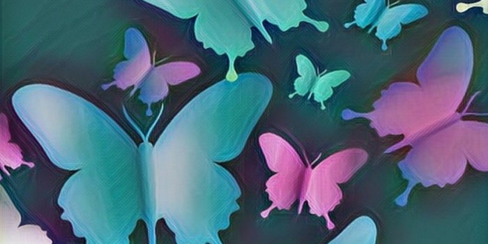 1080x1920 Purple Butterfly Wallpaper For Phone | 2019 Cute Wallpapers
