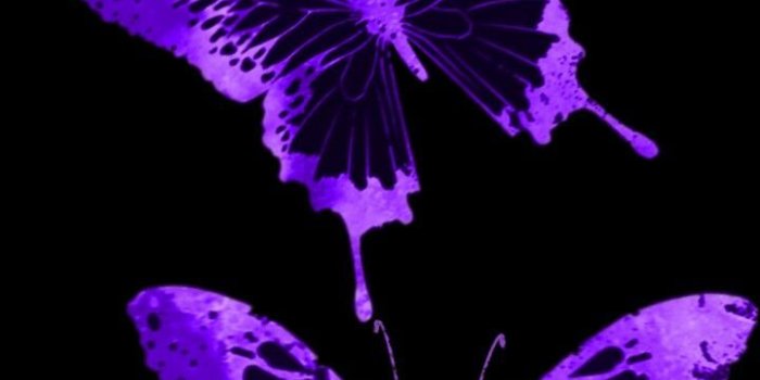 720x1242 purple passion in 2019 | Purple butterfly, Purple wallpaper