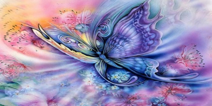 1920x1080 Purple Butterfly Wallpaper , (63+) Pictures