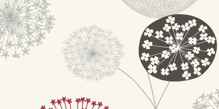 1800x1800 Details about Large Dandelion Floral Wallpaper Flowers Cream Red Grey Black  Feature Wall