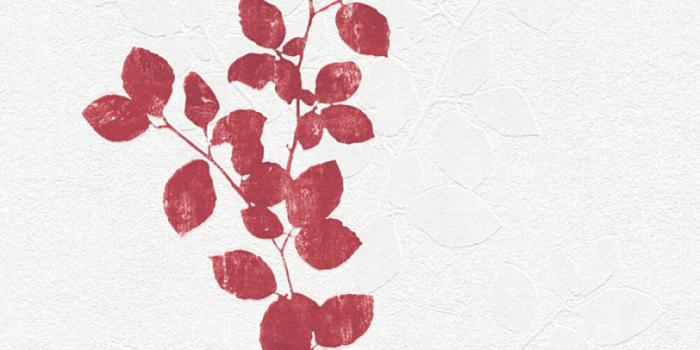 1000x800 Livingwalls Wallpaper «Floral, Cream, Grey, Red» P468740039