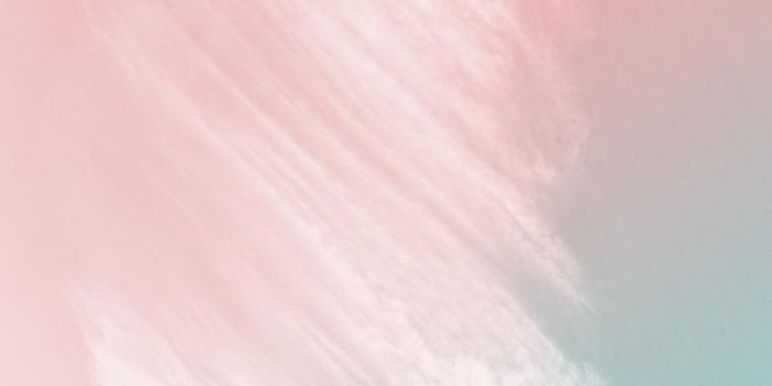 1000x1500 Pastel Wallpapers: Free HD Download [500+ HQ] | Unsplash