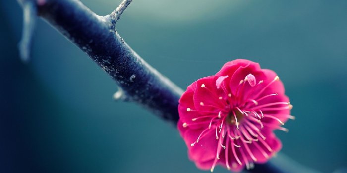 1920x1080 3K Wallpapers - Top Free 3K Backgrounds - WallpaperAccess