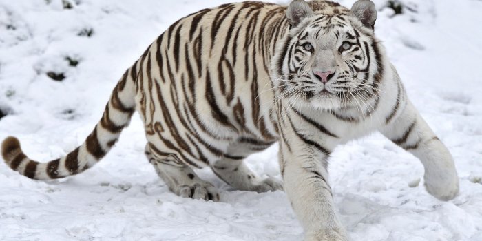 2880x1800 3K Wallpapers