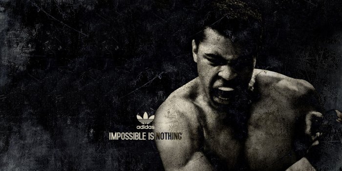 2560x1440 Wallpaper of Muhammad Ali, Boxing, Sport, Adidas background