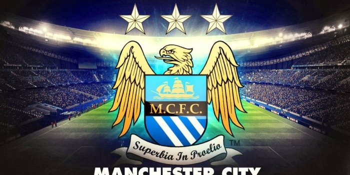 1228x768 49+] Manchester City FC Wallpaper on WallpaperSafari