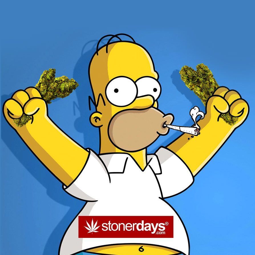 894x894 Simpsons Weed Wallpapers - Top Free Simpsons Weed