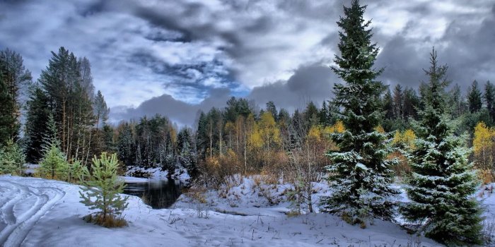 1920x1080 superb-winter-scene-300478 | Winter Scenery Wallpaper