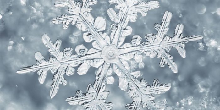 736x1308 Best Cute desktop wallpaper ideas Laptop