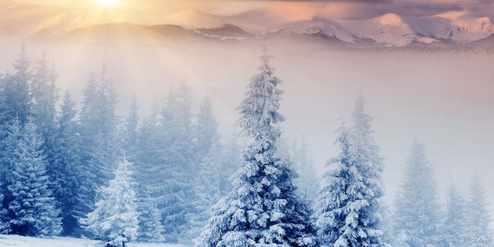 1920x1080 Winter Wonderland Desktop Background (54+ images)