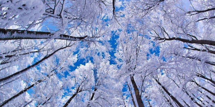 1920x1080 69+] Winter Desktop Wallpapers on WallpaperSafari