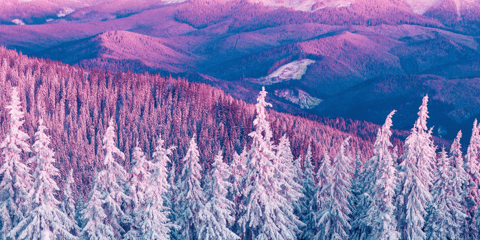 1500x2592 Konecna Maja on nature in 2019 | Landscape wallpaper