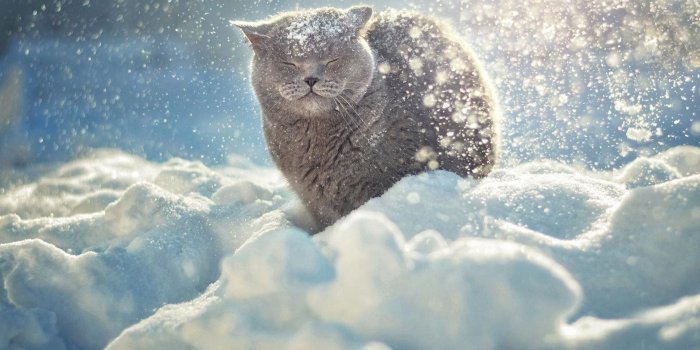 1920x1200 68+ Snow Desktop Wallpapers on WallpaperPlay