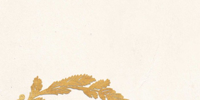 1242x2208 Christmas phone wallpaper | backgrounds | Papel