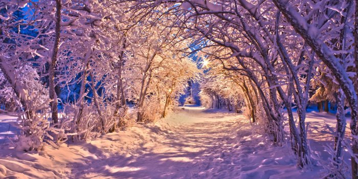1920x1080 Winter nature wallpaper desktop - SF Wallpaper