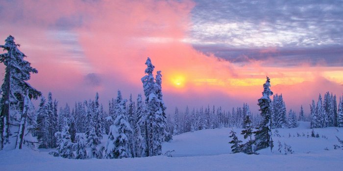 1920x1200 Free download Snow Scenes Art Prints and Poster Buy a Poster