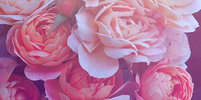 1080x1920 New iPhone Wallpaper | iPhone Wallpaper