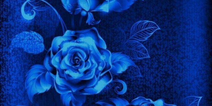 736x1308 Wallpaper...By Artist Unknown... in 2019 | Blue roses