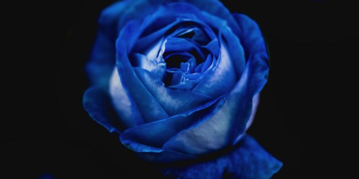 1080x1920 New iPhone Wallpaper | iPhone Wallpaper