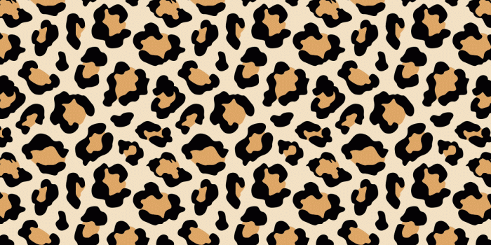 1180x1265 Da beo in 2019 | Animal print wallpaper, Leopard print