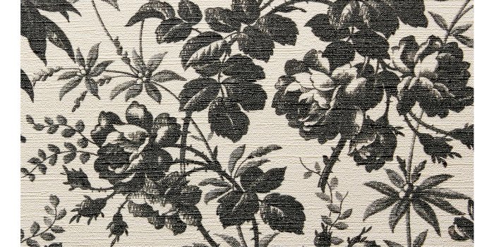 1300x1300 Herbarium Print Wallpaper Grey