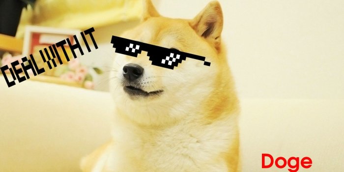 1920x1080 Doge Meme Wallpaper (85+ images)