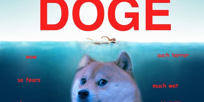 1280x800 Doge Wallpaper Desktop Background | Doge meme, Dog jokes