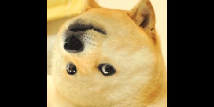 1920x1080 Doge Meme Wallpaper (85+ images)