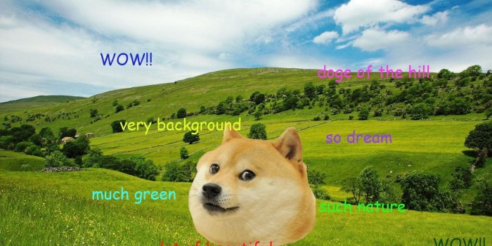 1580x1050 SO DOGE, MUCH EPIC WALLPAPER DUMP! :doge: 