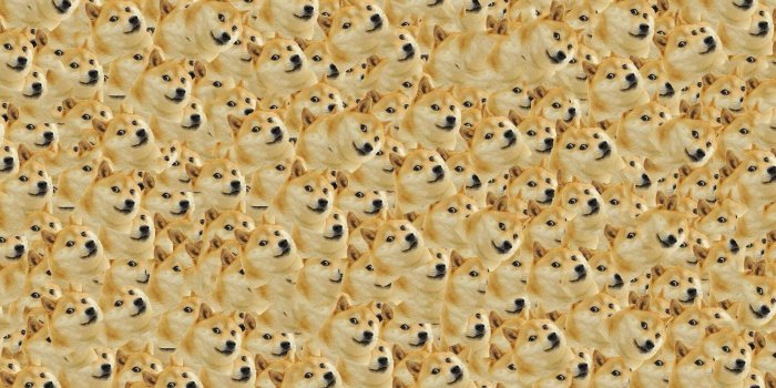 1920x1080 Doge meme wallpaper